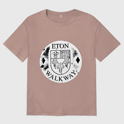 Футболка оверсайз женская Путешествия Итон, цвет: пыльно-розовый