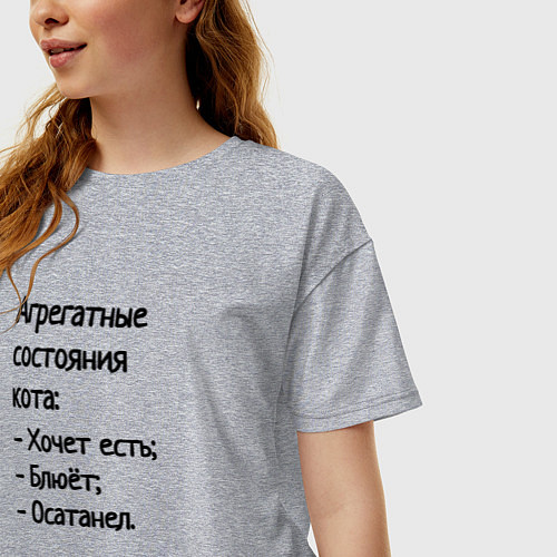 Женская футболка оверсайз Агрегатные состояния кота / Меланж – фото 3