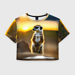 Футболка 3D укороченная женская Сурикат на фоне рассвета, цвет: 3D-принт