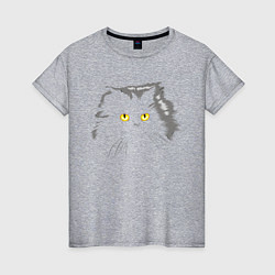 Футболка хлопковая женская Грозовой, кошак пушистый, цвет: меланж