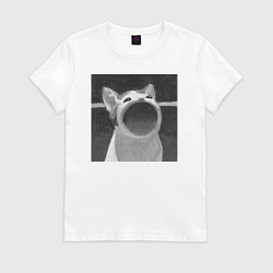 Футболка хлопковая женская ЧБ Pop Cat, цвет: белый