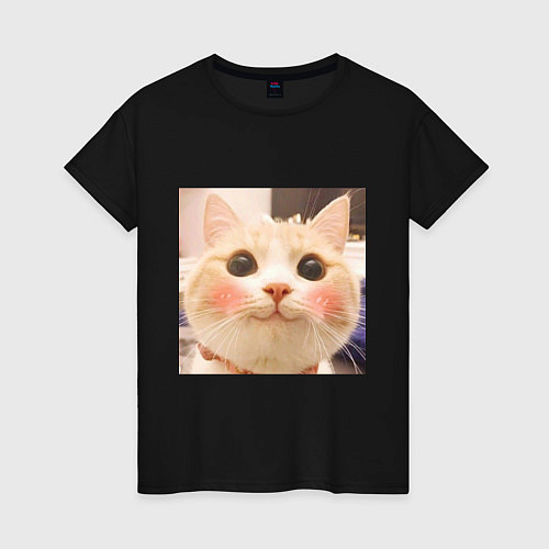 Женская футболка Мем про котов / Черный – фото 1