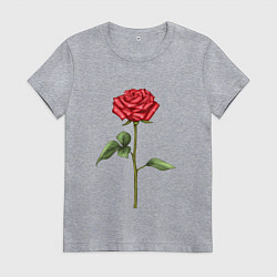 Футболка хлопковая женская Роза красная, цвет: меланж