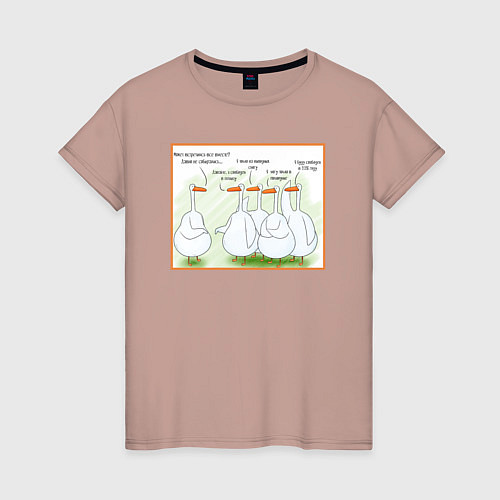 Женская футболка Друзья за 30 / Пыльно-розовый – фото 1