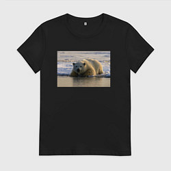 Футболка хлопковая женская Медведь на севере, цвет: черный