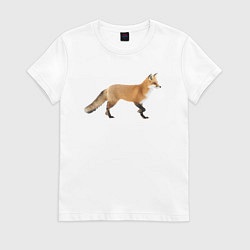 Футболка хлопковая женская Рыжая идущая лиса, цвет: белый