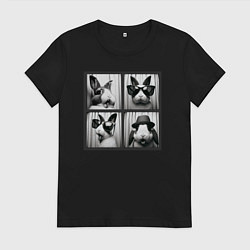 Футболка хлопковая женская Кролик в фотобудке, цвет: черный