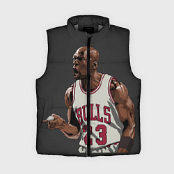 Женский жилет Bulls 23: Jordan, цвет: 3D-светло-серый