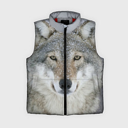 Женский жилет Милый волк