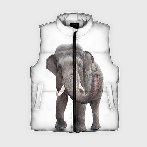 Женский жилет Большой слон / 3D-Светло-серый – фото 1