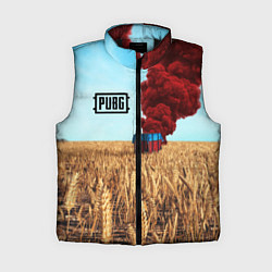 Женский жилет PUBG Box, цвет: 3D-черный