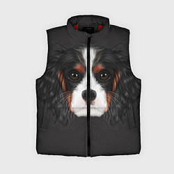 Женский жилет Cavalier King Charles, цвет: 3D-красный
