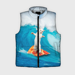 Женский жилет Кот-серфер, цвет: 3D-светло-серый