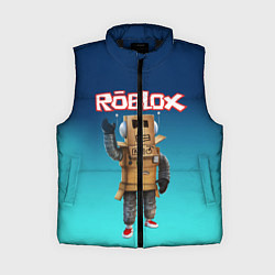 Женский жилет ROBLOX, цвет: 3D-черный