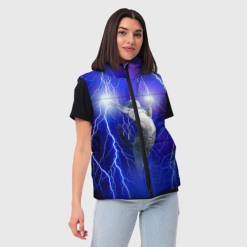 Женский жилет Грозовой кошак / 3D-Красный – фото 3