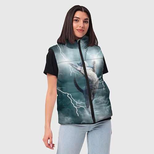 Женский жилет Грозовой кошак / 3D-Черный – фото 3