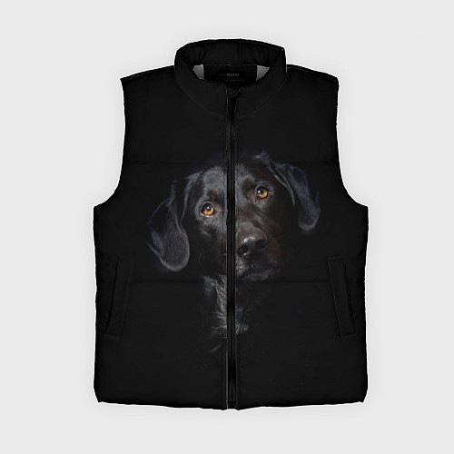 Женский жилет Пес / 3D-Светло-серый – фото 1