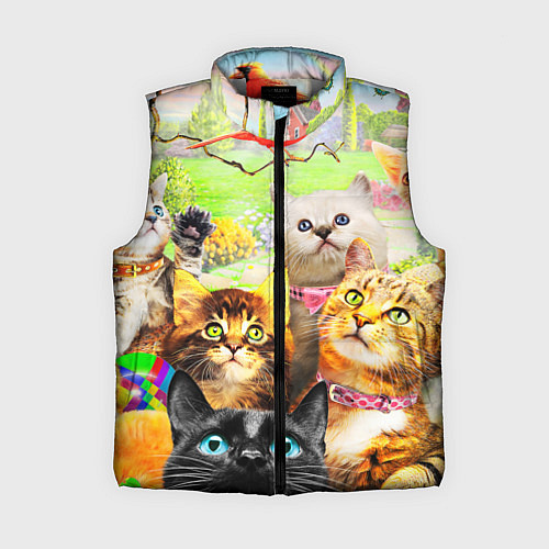 Женский жилет КОТЫ / 3D-Светло-серый – фото 1