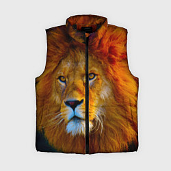 Женский жилет Лев 3D