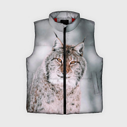 Женский жилет Рысь, цвет: 3D-красный