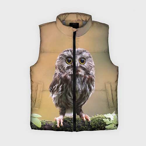 Женский жилет СОВЕНОК / 3D-Светло-серый – фото 1