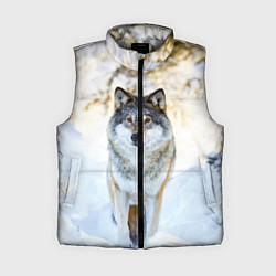 Женский жилет Я зимой, цвет: 3D-светло-серый