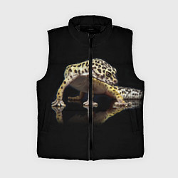 Женский жилет ЭУБЛЕФАР EUBLEPHARIS, цвет: 3D-черный