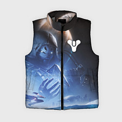 Женский жилет DESTINY 2 ЛЕДЯНОЙ МАРС ТАЙНЫЙ ГЕРОЙ