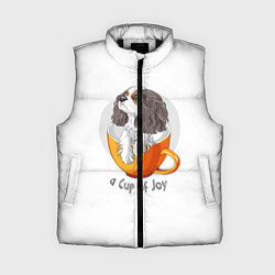 Женский жилет Кавалер Кинг Чарльз Спаниель