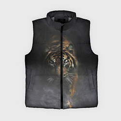 Женский жилет Тигр в тумане, цвет: 3D-светло-серый