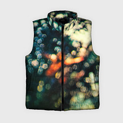 Женский жилет Obscured by Clouds - Pink Floyd, цвет: 3D-светло-серый