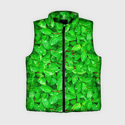 Женский жилет Зелёные листья - текстура, цвет: 3D-черный