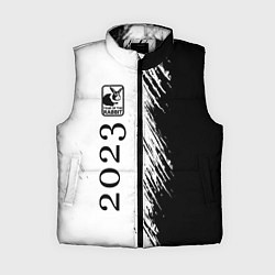 Женский жилет Кролик 2023 в рамочке: по-вертикали, цвет: 3D-черный