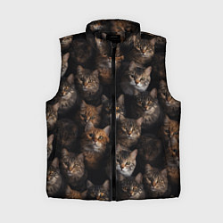 Женский жилет Паттерн из котов