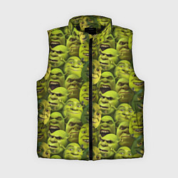 Женский жилет Шрек - паттерн