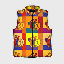 Женский жилет Тыква разноцветная