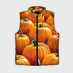 Женский жилет Много тыкв