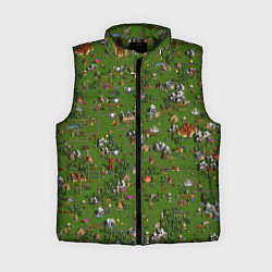 Женский жилет Земли Сопряжения - Герои 3, цвет: 3D-черный