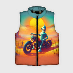 Женский жилет Робот Бендер на мотоцикле в пустыне, цвет: 3D-черный