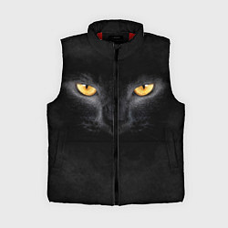 Женский жилет Черная кошка