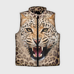 Женский жилет Взгляд леопарда, цвет: 3D-черный