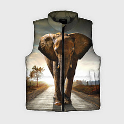 Женский жилет Дикий слон, цвет: 3D-черный