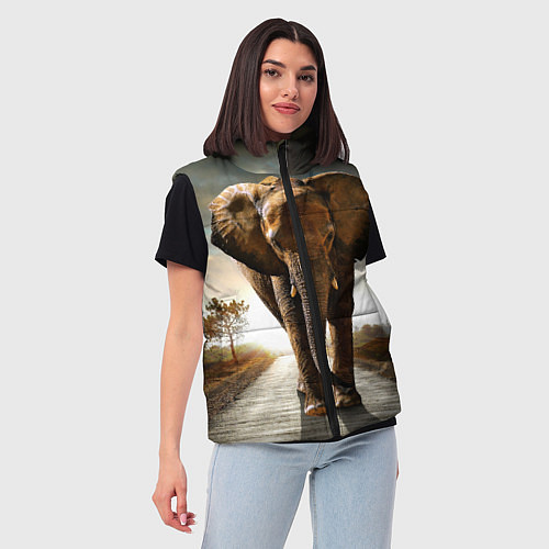 Женский жилет Дикий слон / 3D-Черный – фото 3
