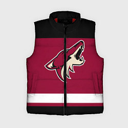 Женский жилет Arizona Coyotes, цвет: 3D-красный