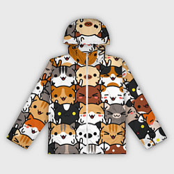 Женская ветровка Коты и котики