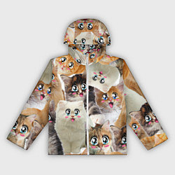 Ветровка с капюшоном женская Много кошек с большими анимэ глазами, цвет: 3D-белый