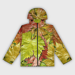 Ветровка с капюшоном женская Осенние листья клёна - паттерн, цвет: 3D-черный