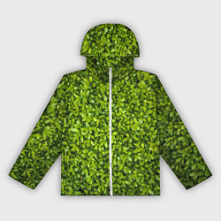 Ветровка с капюшоном женская Зеленая травка, цвет: 3D-белый