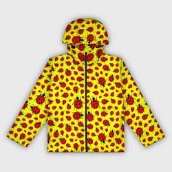 Ветровка с капюшоном женская Божьи коровки цветные, цвет: 3D-черный