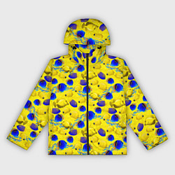 Ветровка с капюшоном женская Разноцветные тропические рыбы, цвет: 3D-черный